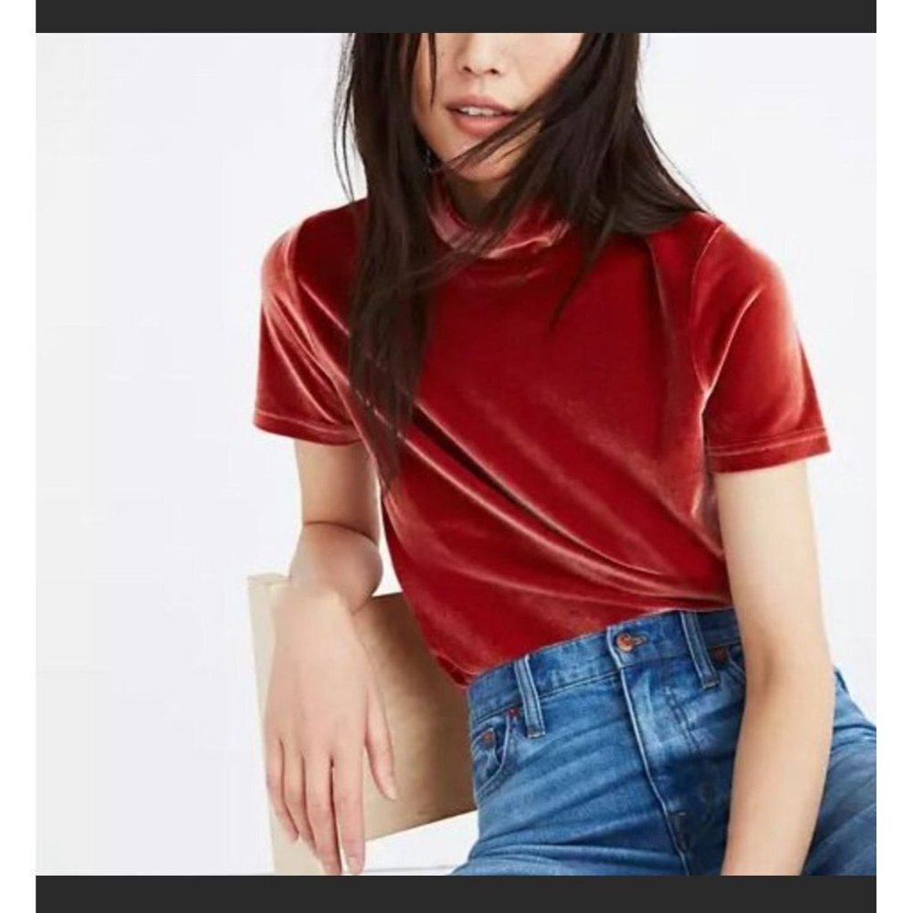 Madewell Velvet Mock Neck Short Sleeve Tee